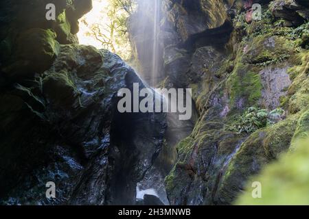 Gorge Étroite Avec Cascade, Wilson Creek, Haast Pass, Côte Ouest, Île Du Sud, Nouvelle-Zélande Banque D'Images