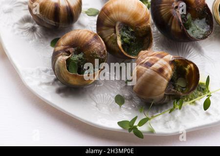 Plateau d'escargot, délicieux plats français Banque D'Images