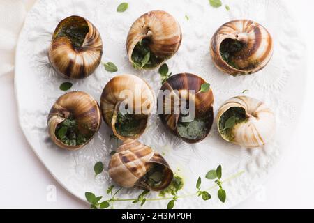Plateau d'escargot, délicieux plats français Banque D'Images