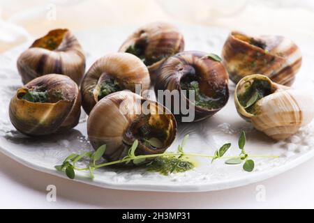 Plateau d'escargot, délicieux plats français Banque D'Images