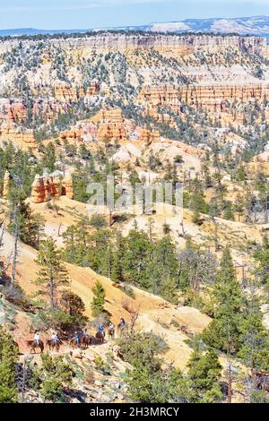 Cavaliers, Bryce Canyon, parc national de Bryce Canyon, Utah, États-Unis Banque D'Images