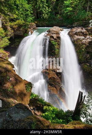 Nooksack Falls, parc national de North Cascades, Washington Banque D'Images