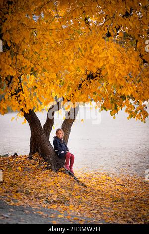 Fille dans la veste bleue est assis sous l'arbre.Enfant en vêtements chauds marche à travers la forêt d'automne près de la rivière avec de l'eau claire et regarde les feuilles jaunes Banque D'Images