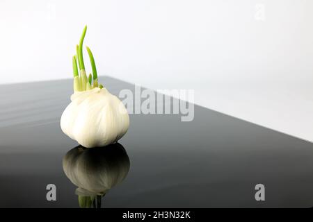 Ail sur assiette noire Banque D'Images