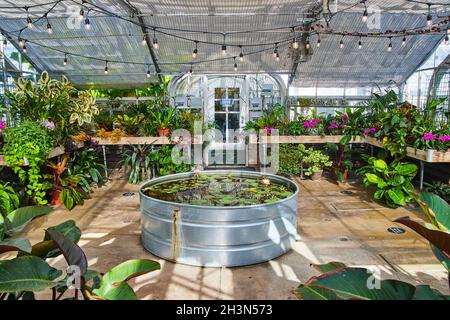 Serre surpeuplée remplie d'orchidées, de plantes vertes et d'une grande piscine en métal couverte de nénuphars Banque D'Images