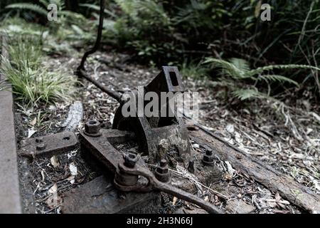 Chemin de fer abandonné le long de la charmante passerelle de la crique dans la gorge de Ngakawau, côte ouest, Nouvelle-Zélande. Banque D'Images