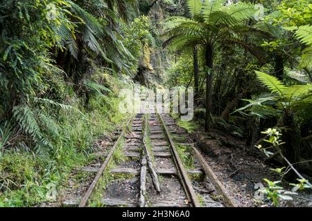 Chemin de fer abandonné le long de la charmante passerelle de la crique dans la gorge de Ngakawau, côte ouest, Nouvelle-Zélande. Banque D'Images