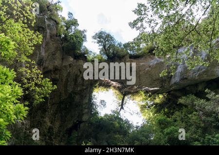 Oparara Arch à Karamea, Nouvelle-Zélande Banque D'Images