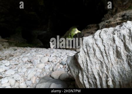 Oparara Arch à Karamea, Nouvelle-Zélande Banque D'Images