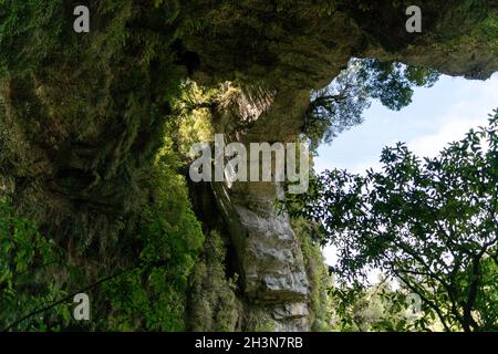 Oparara Arch à Karamea, Nouvelle-Zélande Banque D'Images