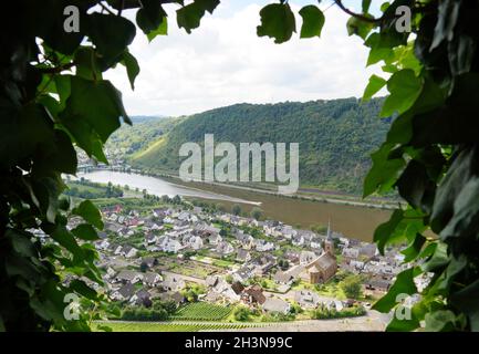La vue sur la Moselle depuis le château de Thurant (Burg Thurant, également Thurandt ou Thurand) au-dessus des villages d'Alken sur la Moselle en Allemagne Banque D'Images
