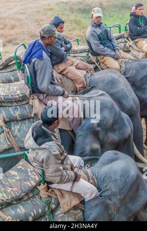 KAZIRANGA, INDE - 30 JANVIER 2017 : mahouts avec leurs éléphants dans le parc national de Kaziranga. Banque D'Images