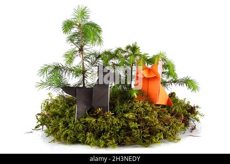 Origami loup et renard sur l'île de la mousse verte isolée sur fond blanc Banque D'Images