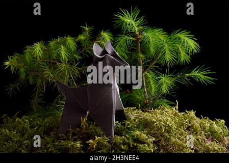 Origami loup papier sur mousse verte isolée sur fond noir Banque D'Images
