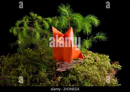 Renard en papier origami sur une île de mousse verte isolée sur fond noir Banque D'Images