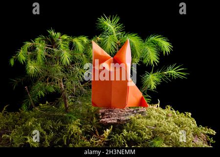 Renard en papier origami sur une île de mousse verte isolée sur fond noir Banque D'Images