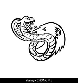 King Cobra Snake et Mongoose combattant mordant et attaquant Mascot Retro Noir et blanc Banque D'Images