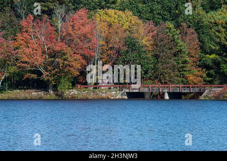 les premiers stades de l'automne à la forêt de l'état de rutland située à rutland, massachusetts Banque D'Images