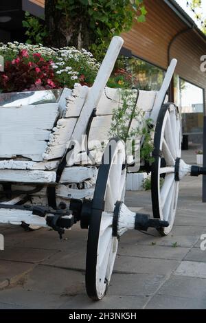 Un vieux chariot blanc avec des fleurs.Le chariot est un lit de fleur. Banque D'Images