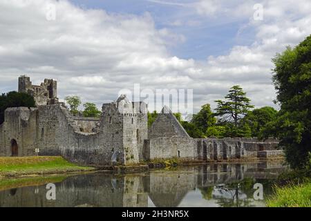 Château de Desmond Irlande Banque D'Images