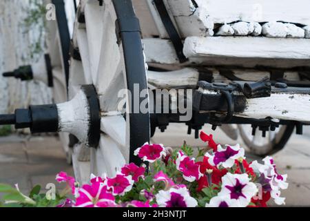 Un vieux chariot blanc avec des fleurs.Le chariot est un lit de fleur. Banque D'Images