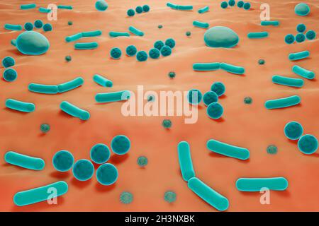 Microbiome cutané, illustration Banque D'Images