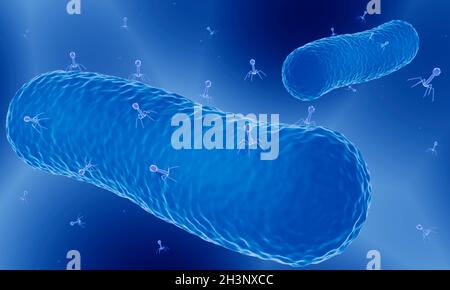 Phage Therapy, illustration Banque D'Images