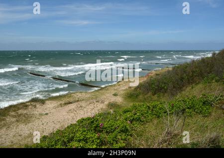 Plage près d'Ahrenshoop en mer Baltique, Fischland-Darß-Zingst, Mecklembourg-Poméranie occidentale, Allemagne Banque D'Images