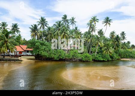 Laccadive mer, océan Indien Banque D'Images