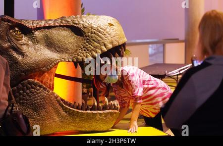 St. Louis, États-Unis.29 octobre 2021.Une jeune visiteur du Centre des sciences de Saint-Louis a fait sa photo à l'intérieur de l'embouchure d'une exposition de Tyrannosaures à Saint-Louis le vendredi 29 octobre 2021.Le nouvel affichage, Tyrannosaurs: Meet the Family, est la première exposition au monde présentant le nouvel arbre de la famille des tyrannosaures, avec des modèles de toutes tailles qui s'ouvre au Centre des sciences le 30 octobre 2021.Photo par Bill Greenblatt/UPI crédit: UPI/Alay Live News Banque D'Images