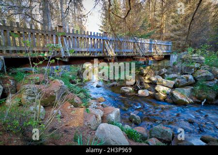 Pont sur la rivière Kalte Bode au pied de Le Brocken près de Schierke dans le parc national de Harz Banque D'Images