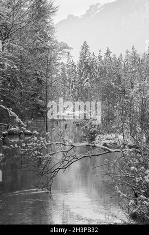 Niveaux de gris. Petit ruisseau d'hiver avec arbres enneigés sur la rive. Banque D'Images