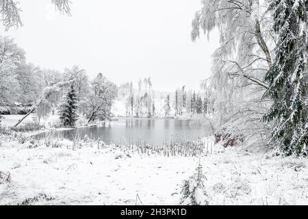 Résine d'étang de poire en hiver Banque D'Images