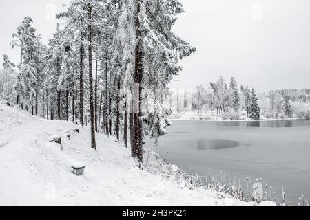 Résine d'étang de poire en hiver Banque D'Images