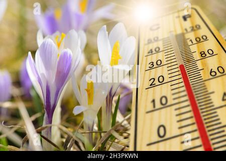 Température chaude sur le thermomètre au printemps Banque D'Images