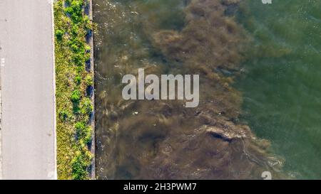 Vue aérienne de haut en bas de la prairie riveraine sur la rive de la rivière et le mouvement de l'eau prise par un drone Banque D'Images