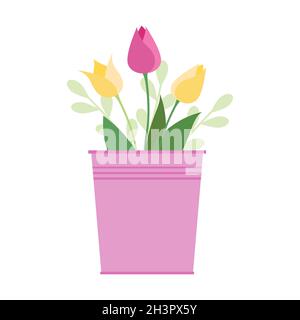 Tulipes roses et jaunes dans un seau rose.Vecteur isoler l'illustration sur fond blanc. Illustration de Vecteur