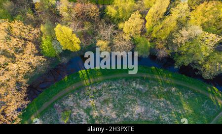 Vue aérienne incroyable d'une petite rivière dans la forêt, presque asséché en été en Belgique Banque D'Images