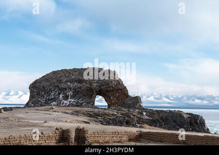 Le Saint éléphant à proximité du lac de Tibet namtso Banque D'Images