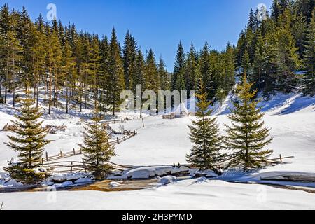 Vue pastorale en hiver dans les montagnes West Rhodope Banque D'Images