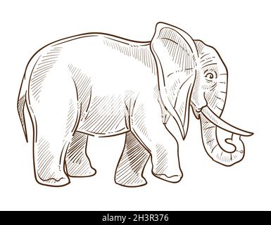 Croquis isolé d'éléphant d'Inde ou d'Afrique, animal sauvage Illustration de Vecteur