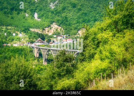 Pont à Durmitor Banque D'Images