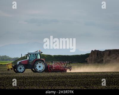 Agriculteur sur un tracteur sur un champ Banque D'Images