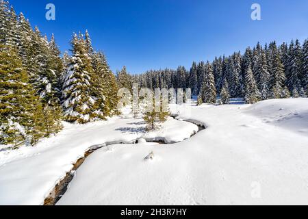 Un ruisseau sinueux dans une charmante scène d'hiver dans les montagnes West Rhodope, Bulgarie Banque D'Images