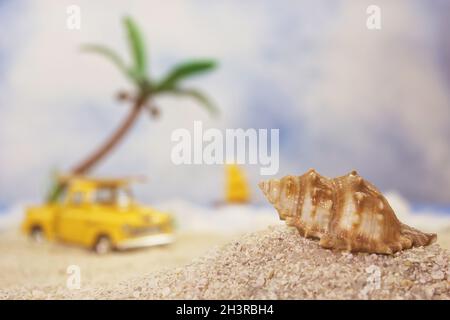 Seashell sur la plage tropicale avec Hot Rod d'époque Banque D'Images