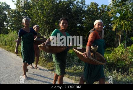 Guwahati, Guwahati, Inde.29 octobre 2021.Les femmes tribales Bodo transportant des instruments de pêche traditionnels retournent chez elles après avoir pêché dans des terres humides à Bagan Para dans le district de Baksa d'Assam Inde le vendredi 29 octobre 2021.photo-DASARATH DEKA (image de crédit: © Dasarath Deka/ZUMA Press Wire) crédit: ZUMA Press, Inc./Alay Live News Banque D'Images