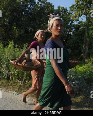 Guwahati, Guwahati, Inde.29 octobre 2021.Les femmes tribales Bodo transportant des instruments de pêche traditionnels retournent chez elles après avoir pêché dans des terres humides à Bagan Para dans le district de Baksa d'Assam Inde le vendredi 29 octobre 2021.photo-DASARATH DEKA (image de crédit: © Dasarath Deka/ZUMA Press Wire) crédit: ZUMA Press, Inc./Alay Live News Banque D'Images