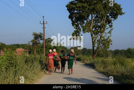 Guwahati, Guwahati, Inde.29 octobre 2021.Les femmes tribales Bodo transportant des instruments de pêche traditionnels retournent chez elles après avoir pêché dans des terres humides à Bagan Para dans le district de Baksa d'Assam Inde le vendredi 29 octobre 2021.photo-DASARATH DEKA (image de crédit: © Dasarath Deka/ZUMA Press Wire) crédit: ZUMA Press, Inc./Alay Live News Banque D'Images