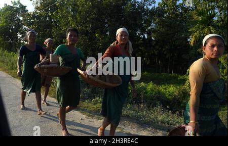 Guwahati, Guwahati, Inde.29 octobre 2021.Les femmes tribales Bodo transportant des instruments de pêche traditionnels retournent chez elles après avoir pêché dans des terres humides à Bagan Para dans le district de Baksa d'Assam Inde le vendredi 29 octobre 2021.photo-DASARATH DEKA (image de crédit: © Dasarath Deka/ZUMA Press Wire) crédit: ZUMA Press, Inc./Alay Live News Banque D'Images