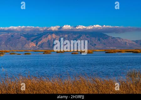 Les nuages s'accrochent autour de Willard Peak, sur Willard Mountain, à l'est de la ville de Willard, depuis la réserve ornithologique de Bear River, comté de Box Elder, Utah, États-Unis. Banque D'Images